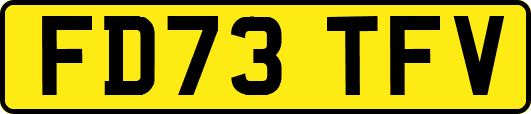 FD73TFV