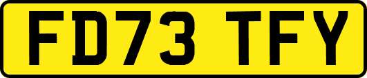 FD73TFY