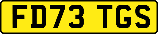 FD73TGS
