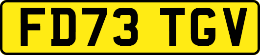 FD73TGV