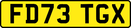 FD73TGX
