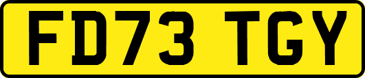 FD73TGY