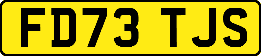 FD73TJS