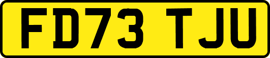FD73TJU