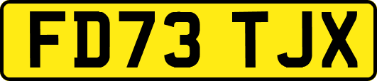 FD73TJX