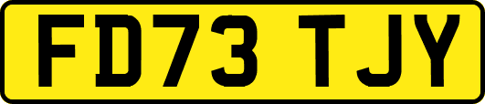 FD73TJY