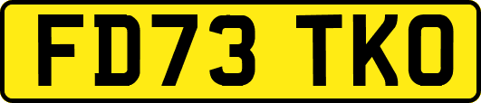 FD73TKO