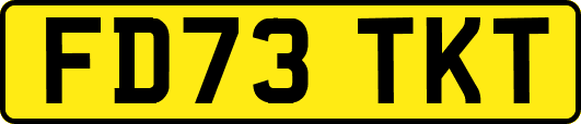 FD73TKT