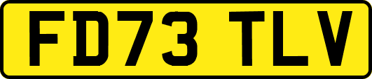 FD73TLV