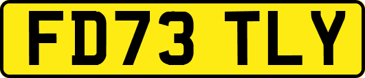 FD73TLY