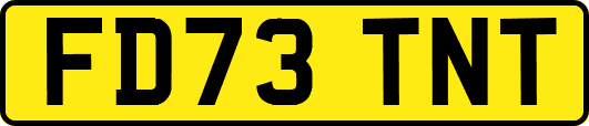 FD73TNT