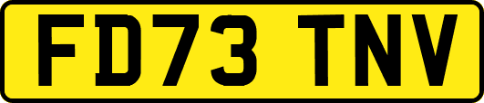 FD73TNV