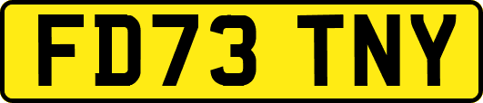 FD73TNY