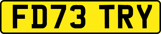 FD73TRY