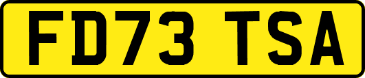 FD73TSA