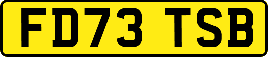 FD73TSB