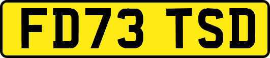 FD73TSD