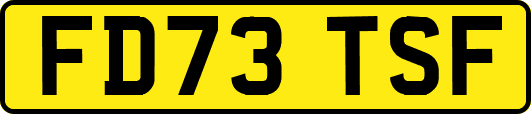 FD73TSF