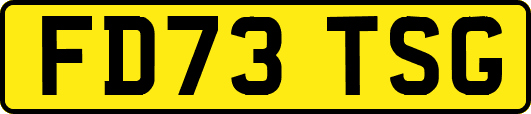 FD73TSG