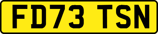 FD73TSN