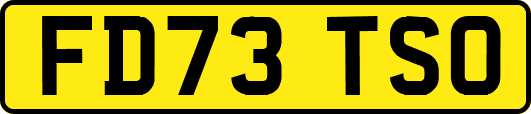 FD73TSO