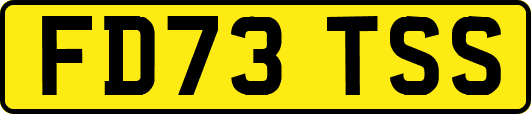 FD73TSS