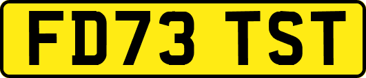 FD73TST