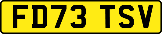 FD73TSV