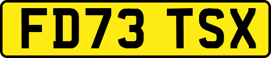 FD73TSX