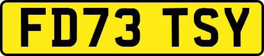 FD73TSY