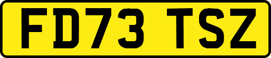FD73TSZ