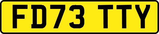 FD73TTY