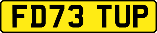 FD73TUP