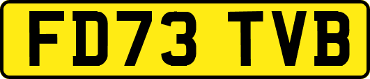 FD73TVB