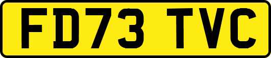 FD73TVC