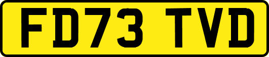 FD73TVD