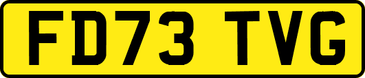 FD73TVG