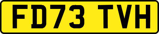 FD73TVH