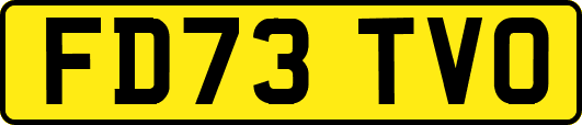 FD73TVO