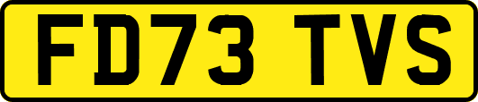 FD73TVS