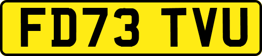 FD73TVU