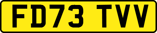 FD73TVV