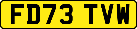 FD73TVW