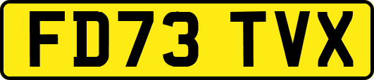 FD73TVX