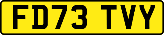 FD73TVY