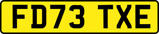 FD73TXE