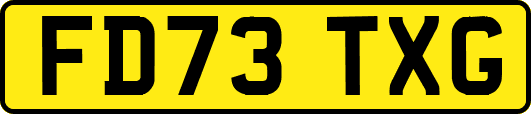FD73TXG