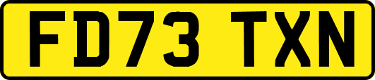 FD73TXN