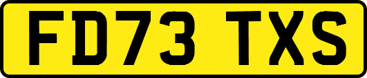 FD73TXS