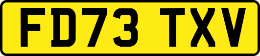 FD73TXV